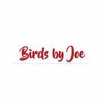 Birds By Joe